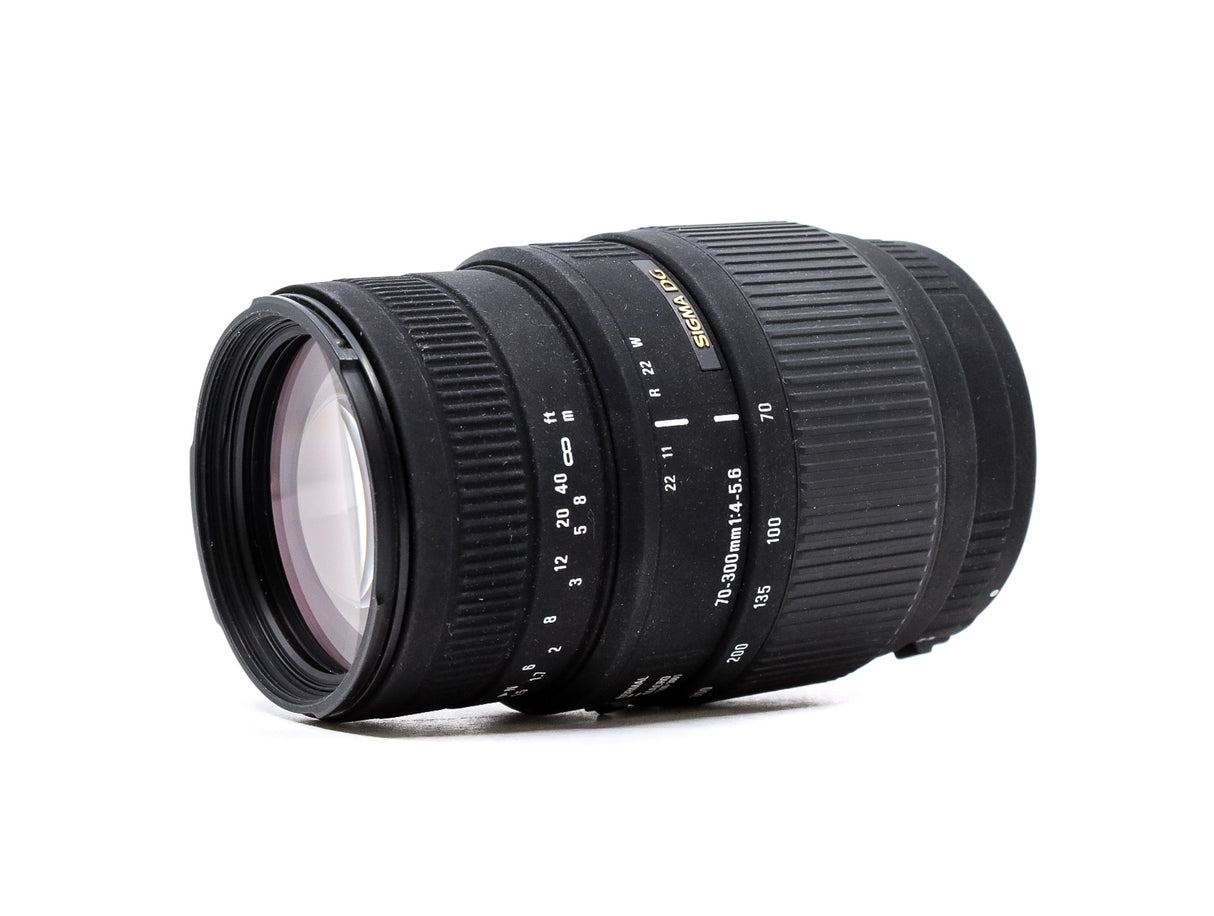 Sigma 70-300mm f/4-5.6 Macro - Canon EF fit