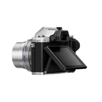 Vue 3
