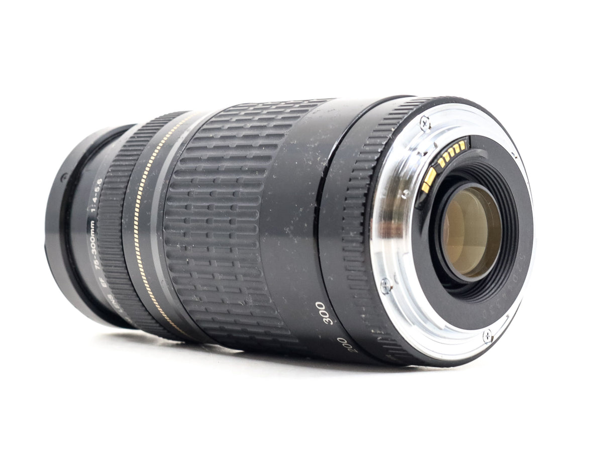 Canon EF 75-300mm f/4-5.6