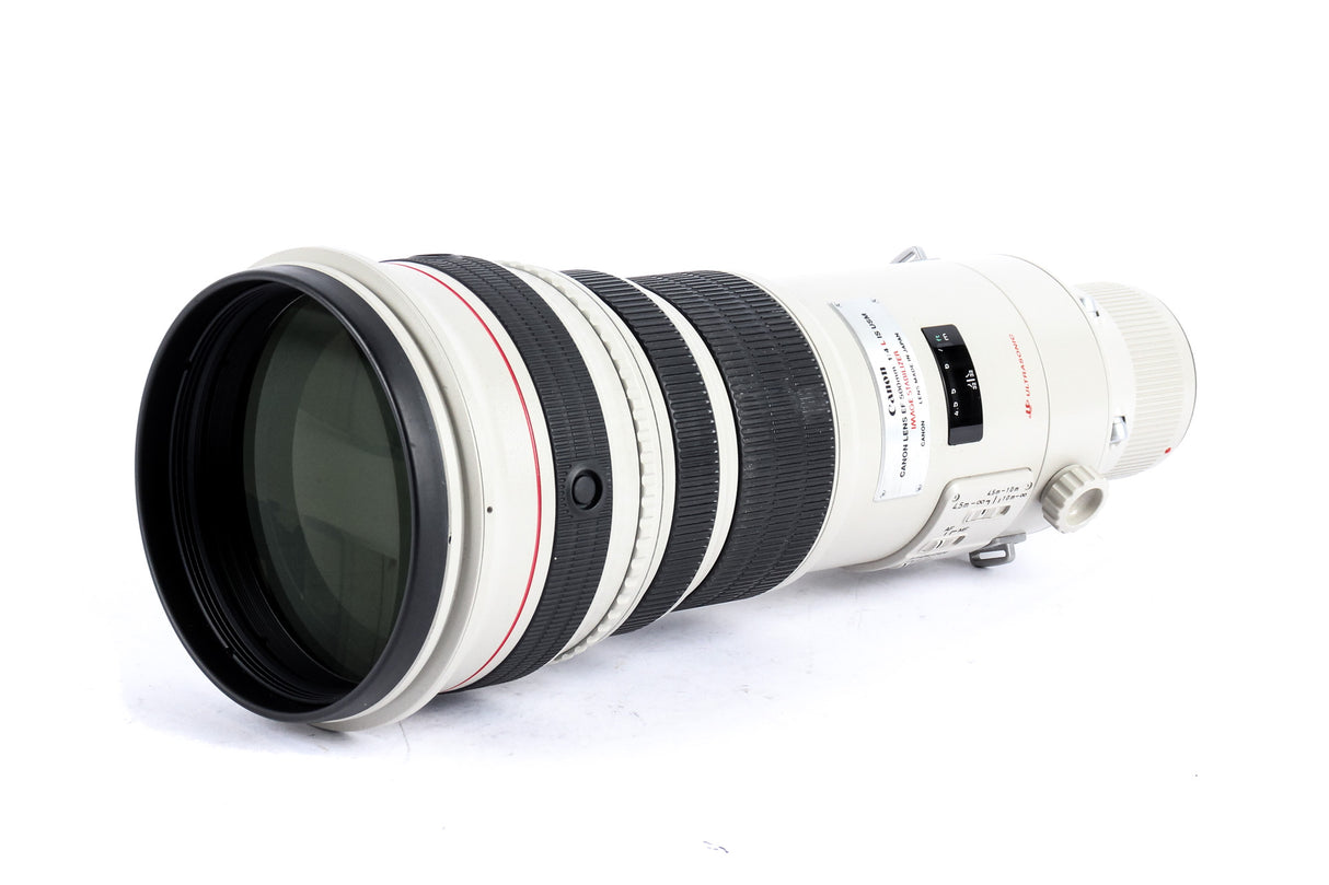 Canon EF 500mm f/4 L IS USM