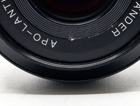 Vue 6