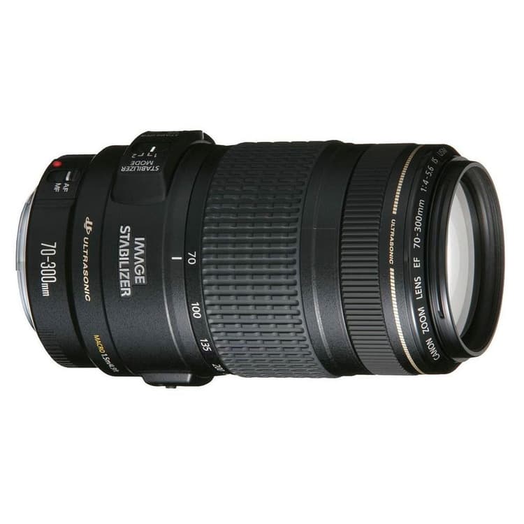 Canon EF 70-300mm f/4-5.6 Lenses