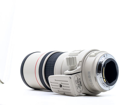 Canon EF 300 mm f/4 L IS USM