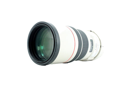 Canon EF 300 mm f/4 L IS USM