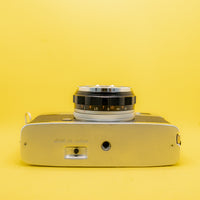 Vue 5