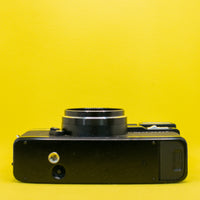 Vue 5